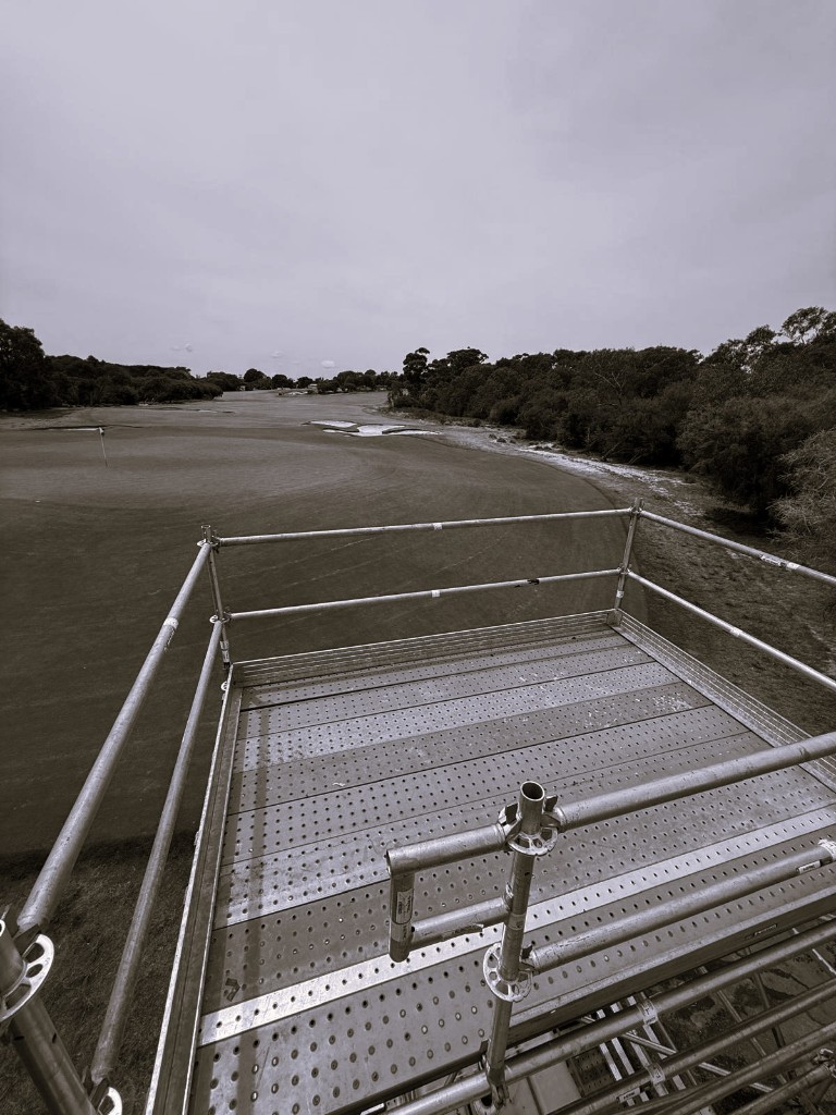 Broadcast Scaffolding